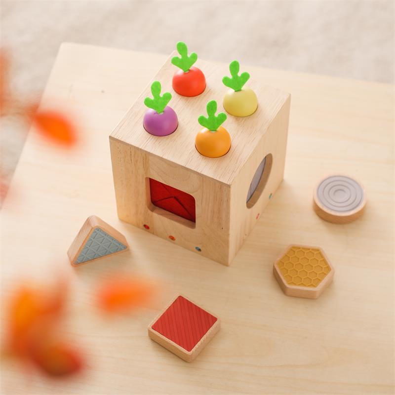 Wooden Geometric Cast Shape Early Childhood Education For Baby Educational Toys - Little Tings